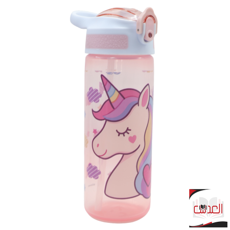 مطرة ماء دزني 600ml